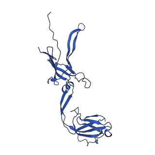 22183_6xgr_P_v1-2
YSD1 major tail protein