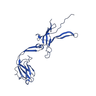 22183_6xgr_R_v1-2
YSD1 major tail protein