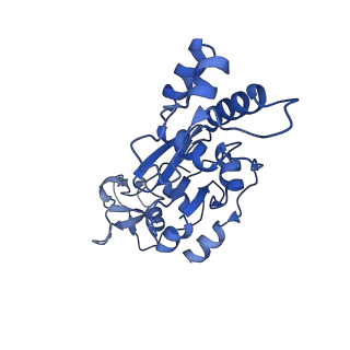33181_7xg0_A_v1-0
CryoEM structure of type IV-A Csf-crRNA-dsDNA ternary complex