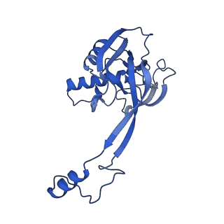 33181_7xg0_B_v1-0
CryoEM structure of type IV-A Csf-crRNA-dsDNA ternary complex