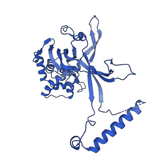 33181_7xg0_C_v1-0
CryoEM structure of type IV-A Csf-crRNA-dsDNA ternary complex
