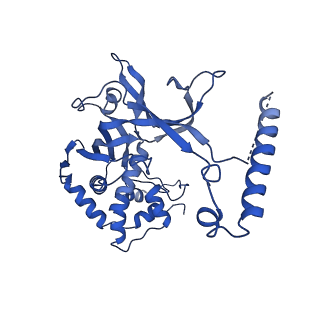 33181_7xg0_D_v1-0
CryoEM structure of type IV-A Csf-crRNA-dsDNA ternary complex