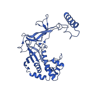 33181_7xg0_E_v1-0
CryoEM structure of type IV-A Csf-crRNA-dsDNA ternary complex