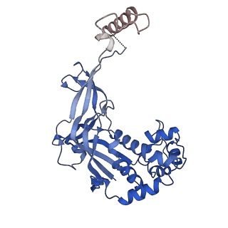 33181_7xg0_F_v1-0
CryoEM structure of type IV-A Csf-crRNA-dsDNA ternary complex