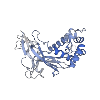 33181_7xg0_G_v1-0
CryoEM structure of type IV-A Csf-crRNA-dsDNA ternary complex