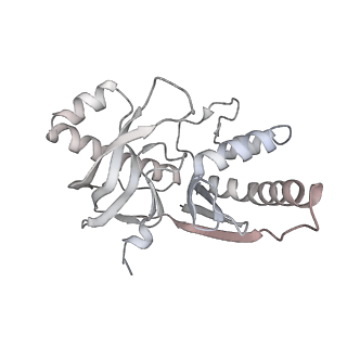 33181_7xg0_H_v1-0
CryoEM structure of type IV-A Csf-crRNA-dsDNA ternary complex