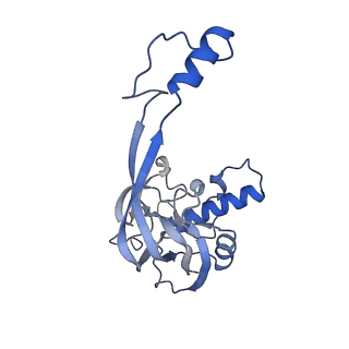 33183_7xg2_B_v1-0
CryoEM structure of type IV-A NTS-nicked dsDNA bound Csf-crRNA ternary complex