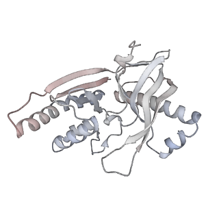 33183_7xg2_H_v1-0
CryoEM structure of type IV-A NTS-nicked dsDNA bound Csf-crRNA ternary complex