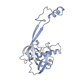 33184_7xg3_B_v1-0
CryoEM structure of type IV-A CasDinG bound NTS-nicked Csf-crRNA-dsDNA quaternary complex