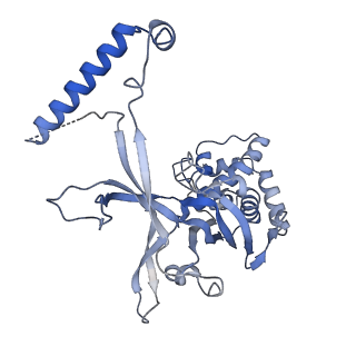 33184_7xg3_C_v1-0
CryoEM structure of type IV-A CasDinG bound NTS-nicked Csf-crRNA-dsDNA quaternary complex