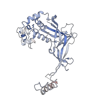 33184_7xg3_F_v1-0
CryoEM structure of type IV-A CasDinG bound NTS-nicked Csf-crRNA-dsDNA quaternary complex