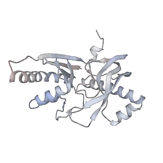 33184_7xg3_H_v1-0
CryoEM structure of type IV-A CasDinG bound NTS-nicked Csf-crRNA-dsDNA quaternary complex