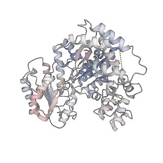 33184_7xg3_L_v1-0
CryoEM structure of type IV-A CasDinG bound NTS-nicked Csf-crRNA-dsDNA quaternary complex