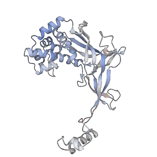 33185_7xg4_F_v1-0
CryoEM structure of type IV-A CasDinG bound NTS-nicked Csf-crRNA-dsDNA quaternary complex in a second state
