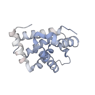 33189_7xgy_A_v1-1
cryo-EM structure of hemoglobin