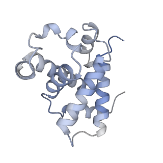 33189_7xgy_B_v1-1
cryo-EM structure of hemoglobin