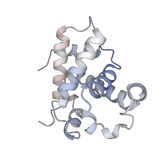33189_7xgy_D_v1-1
cryo-EM structure of hemoglobin