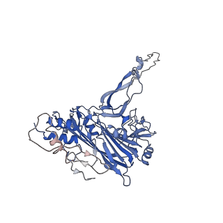 33190_7xgz_A_v1-1
Cryo-EM structure of the T=4 lake sinai virus 2 virus-like capsid at pH 7.5