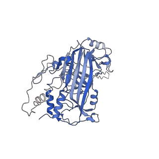 33190_7xgz_B_v1-1
Cryo-EM structure of the T=4 lake sinai virus 2 virus-like capsid at pH 7.5