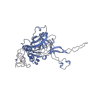33190_7xgz_C_v1-1
Cryo-EM structure of the T=4 lake sinai virus 2 virus-like capsid at pH 7.5