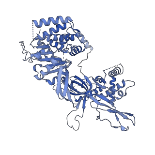 38317_8xgc_3_v1-0
Structure of yeast replisome associated with FACT and histone hexamer, Composite map