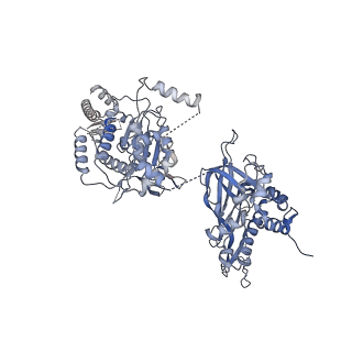 38317_8xgc_4_v1-0
Structure of yeast replisome associated with FACT and histone hexamer, Composite map