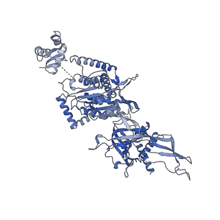 38317_8xgc_5_v1-0
Structure of yeast replisome associated with FACT and histone hexamer, Composite map