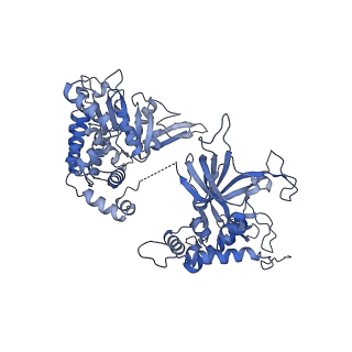 38317_8xgc_6_v1-0
Structure of yeast replisome associated with FACT and histone hexamer, Composite map