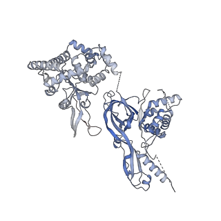 38317_8xgc_7_v1-0
Structure of yeast replisome associated with FACT and histone hexamer, Composite map