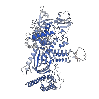 38317_8xgc_8_v1-0
Structure of yeast replisome associated with FACT and histone hexamer, Composite map