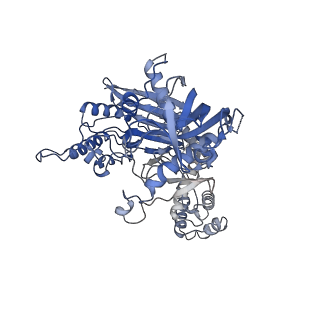 38317_8xgc_9_v1-0
Structure of yeast replisome associated with FACT and histone hexamer, Composite map