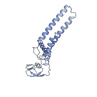 38317_8xgc_A_v1-0
Structure of yeast replisome associated with FACT and histone hexamer, Composite map