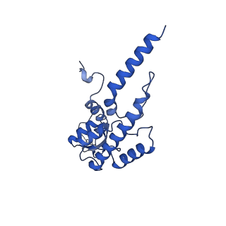 38317_8xgc_B_v1-0
Structure of yeast replisome associated with FACT and histone hexamer, Composite map