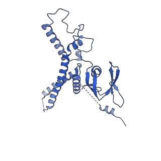 38317_8xgc_D_v1-0
Structure of yeast replisome associated with FACT and histone hexamer, Composite map