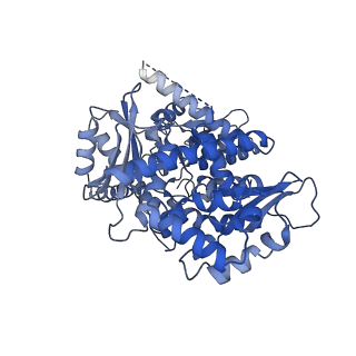 38317_8xgc_E_v1-0
Structure of yeast replisome associated with FACT and histone hexamer, Composite map