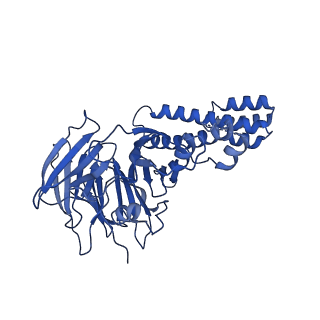 38317_8xgc_F_v1-0
Structure of yeast replisome associated with FACT and histone hexamer, Composite map