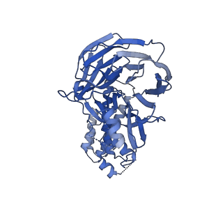38317_8xgc_G_v1-0
Structure of yeast replisome associated with FACT and histone hexamer, Composite map