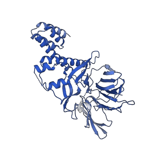 38317_8xgc_H_v1-0
Structure of yeast replisome associated with FACT and histone hexamer, Composite map