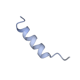 38317_8xgc_K_v1-0
Structure of yeast replisome associated with FACT and histone hexamer, Composite map