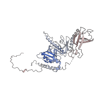 38317_8xgc_L_v1-0
Structure of yeast replisome associated with FACT and histone hexamer, Composite map