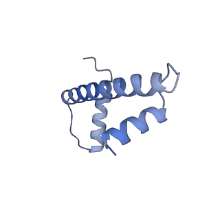 38317_8xgc_N_v1-0
Structure of yeast replisome associated with FACT and histone hexamer, Composite map