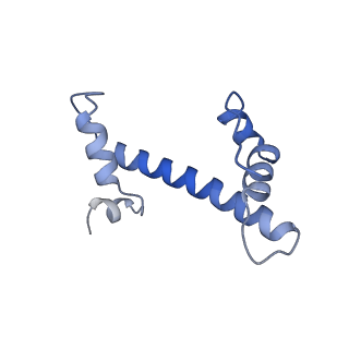 38317_8xgc_P_v1-0
Structure of yeast replisome associated with FACT and histone hexamer, Composite map