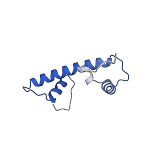 38317_8xgc_S_v1-0
Structure of yeast replisome associated with FACT and histone hexamer, Composite map