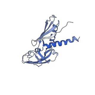 22184_6xh7_A_v1-2
CueR-TAC without RNA