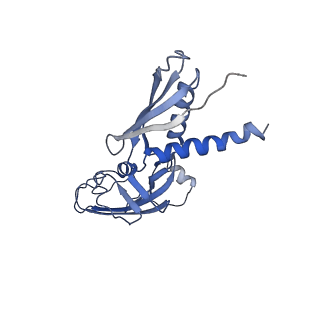 22184_6xh7_A_v1-3
CueR-TAC without RNA