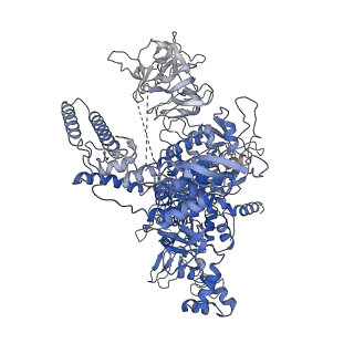 22184_6xh7_D_v1-2
CueR-TAC without RNA