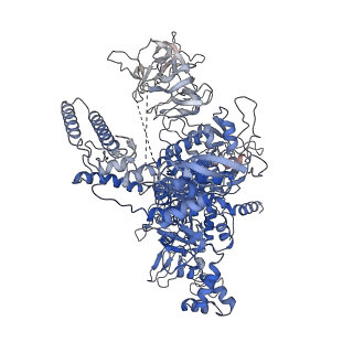 22184_6xh7_D_v1-3
CueR-TAC without RNA