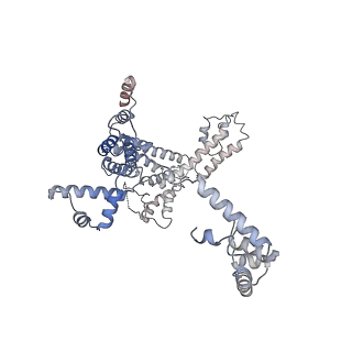 22184_6xh7_F_v1-3
CueR-TAC without RNA