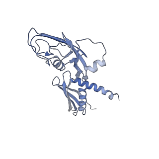 22185_6xh8_A_v1-2
CueR-transcription activation complex with RNA transcript