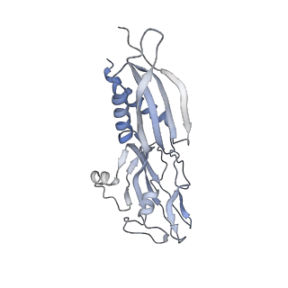 22185_6xh8_B_v1-2
CueR-transcription activation complex with RNA transcript